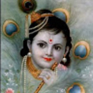 Meet your Posher, Silky